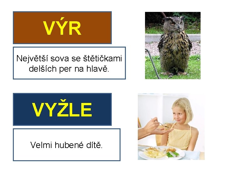 VÝR Největší sova se štětičkami delších per na hlavě. VYŽLE Velmi hubené dítě. 