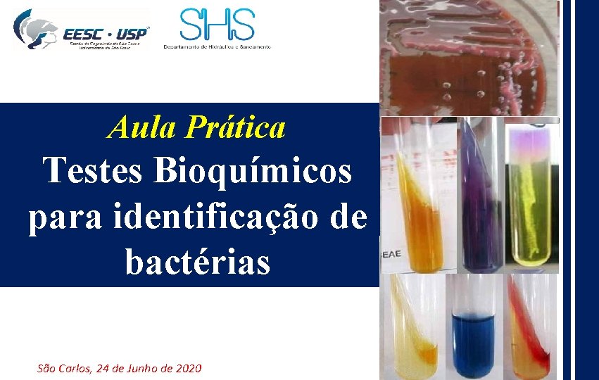 Aula Prática Testes Bioquímicos para identificação de bactérias São Carlos, 24 de Junho de