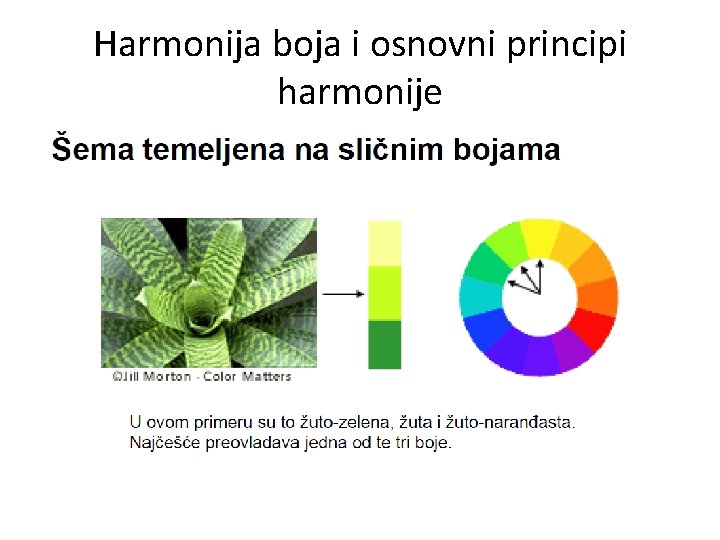 Harmonija boja i osnovni principi harmonije 