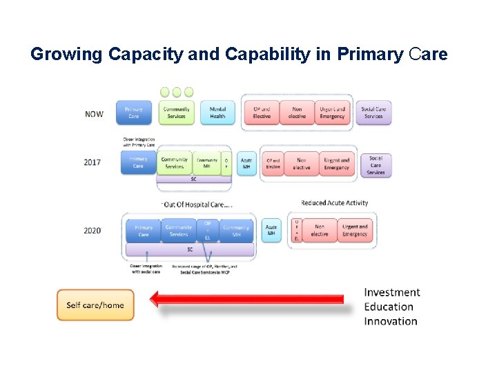 Growing Capacity and Capability in Primary Care 