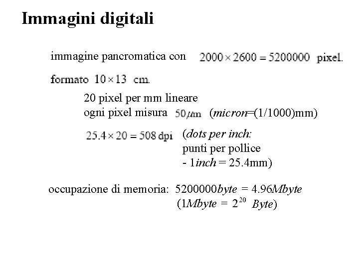 Immagini digitali immagine pancromatica con 20 pixel per mm lineare ogni pixel misura (micron=(1/1000)mm)