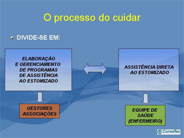 O processo do cuidar DIVIDE-SE EM: ELABORAÇÃO E GERENCIAMENTO DE PROGRAMAS DE ASSISTÊNCIA AO