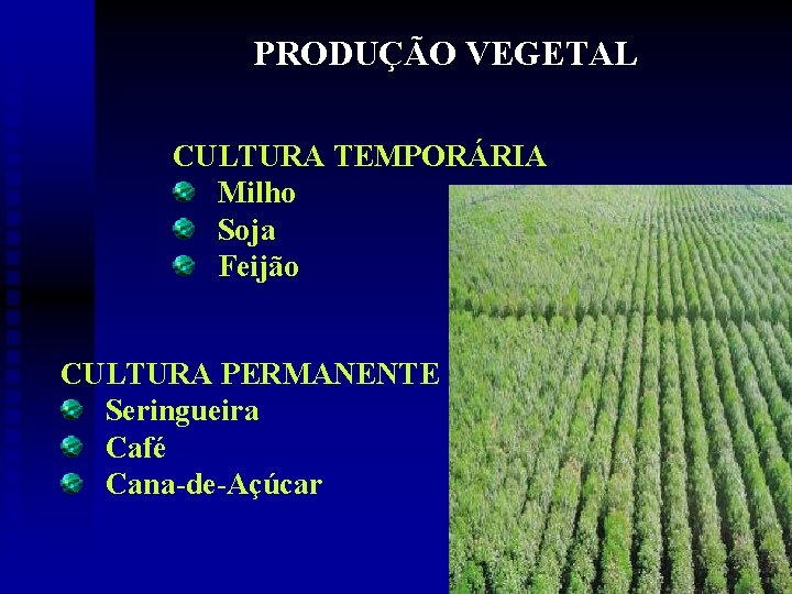 PRODUÇÃO VEGETAL CULTURA TEMPORÁRIA Milho Soja Feijão CULTURA PERMANENTE Seringueira Café Cana-de-Açúcar 2 