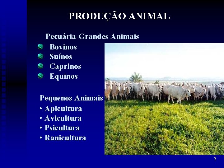 PRODUÇÃO ANIMAL Pecuária-Grandes Animais Bovinos Suínos Caprinos Equinos Pequenos Animais • Apicultura • Avicultura