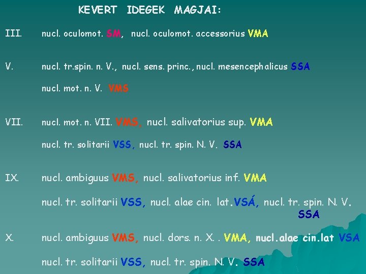 KEVERT IDEGEK MAGJAI: III. nucl. oculomot. SM, nucl. oculomot. accessorius VMA V. nucl. tr.