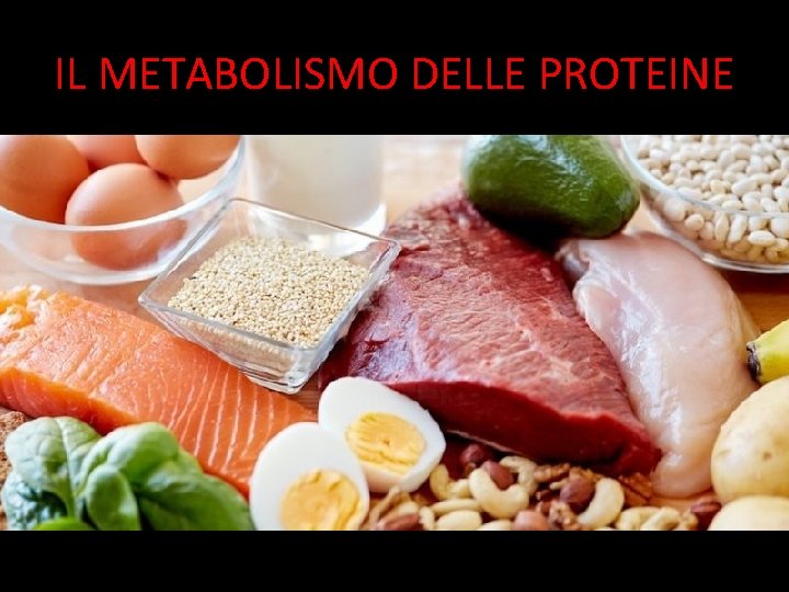 IL METABOLISMO DELLE PROTEINE 