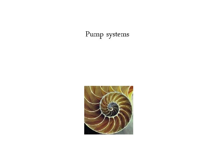 Pump systems 