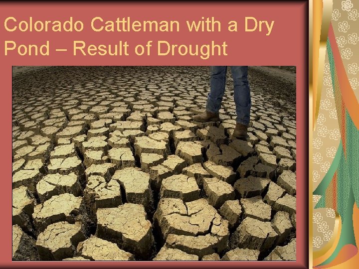 Colorado Cattleman with a Dry Pond – Result of Drought 