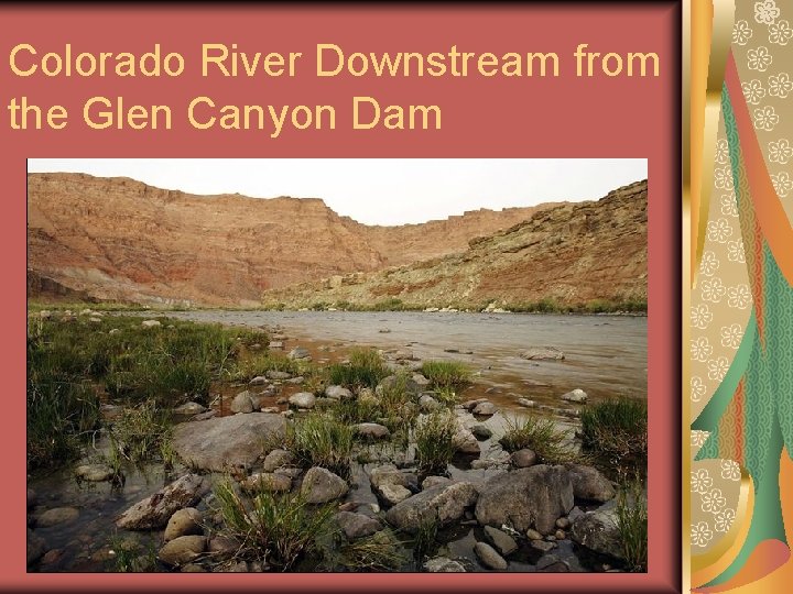 Colorado River Downstream from the Glen Canyon Dam 