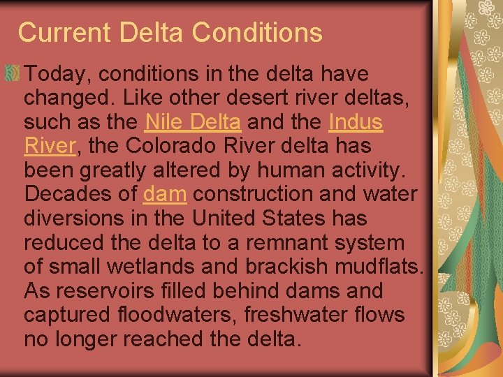 Current Delta Conditions Today, conditions in the delta have changed. Like other desert river