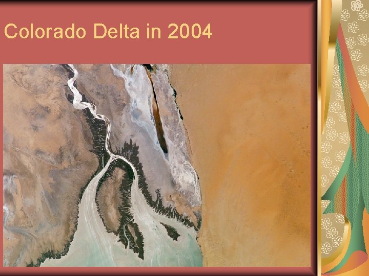 Colorado Delta in 2004 