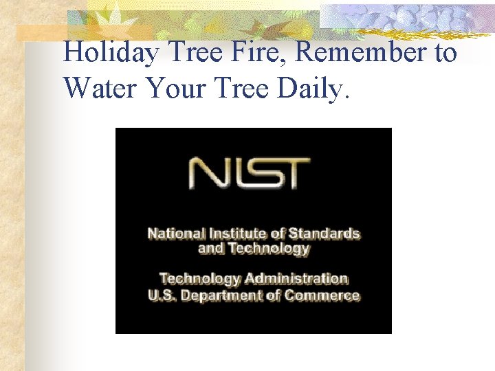 Holiday Tree Fire, Remember to Water Your Tree Daily. Holiday Tree Fire, Remember to Water Your Tree Daily.