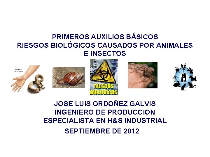 PRIMEROS AUXILIOS BÁSICOS RIESGOS BIOLÓGICOS CAUSADOS POR ANIMALES E INSECTOS JOSE LUIS ORDOÑEZ GALVIS