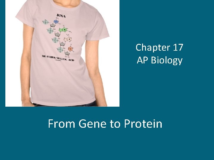 Chapter 17 AP Biology From Gene to Protein 