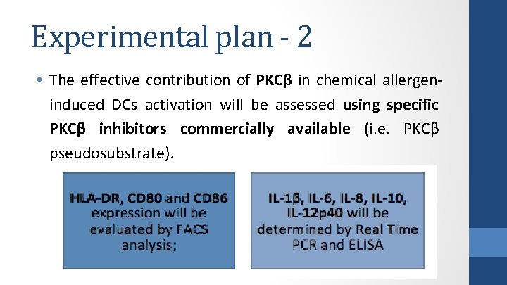 Experimental plan - 2 • The effective contribution of PKCβ in chemical allergeninduced DCs