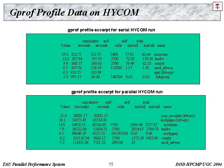 Gprof Profile Data on HYCOM gprofile excerpt for serial HYCOM run %time 19. 2