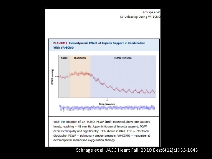 Schrage et al. JACC Heart Fail. 2018 Dec; 6(12): 1035 -1043 