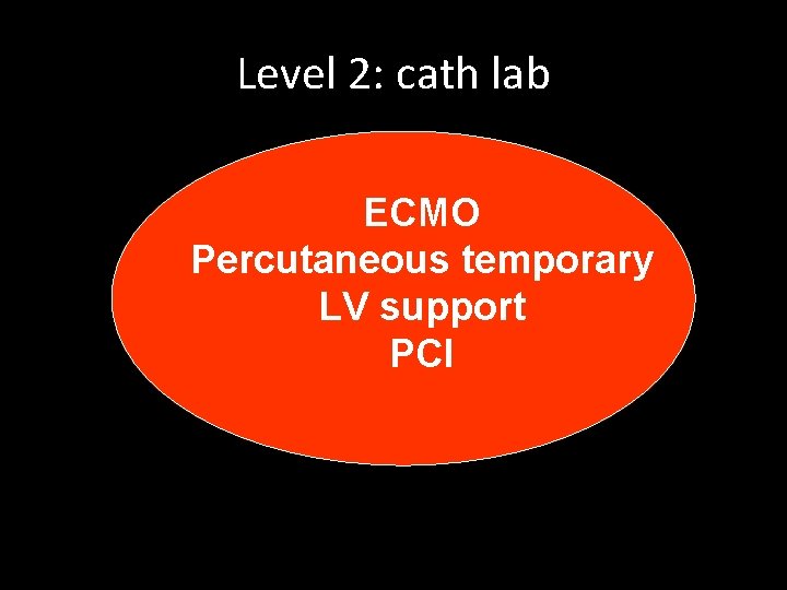 Level 2: cath lab ECMO Percutaneous temporary LV support PCI 