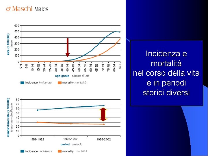 Incidenza e mortalità nel corso della vita e in periodi storici diversi 