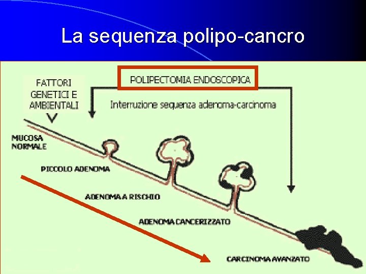 La sequenza polipo-cancro 