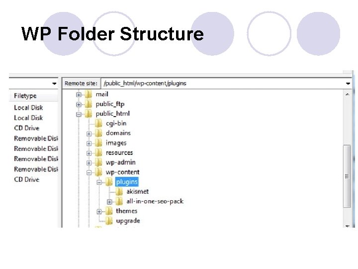 WP Folder Structure 