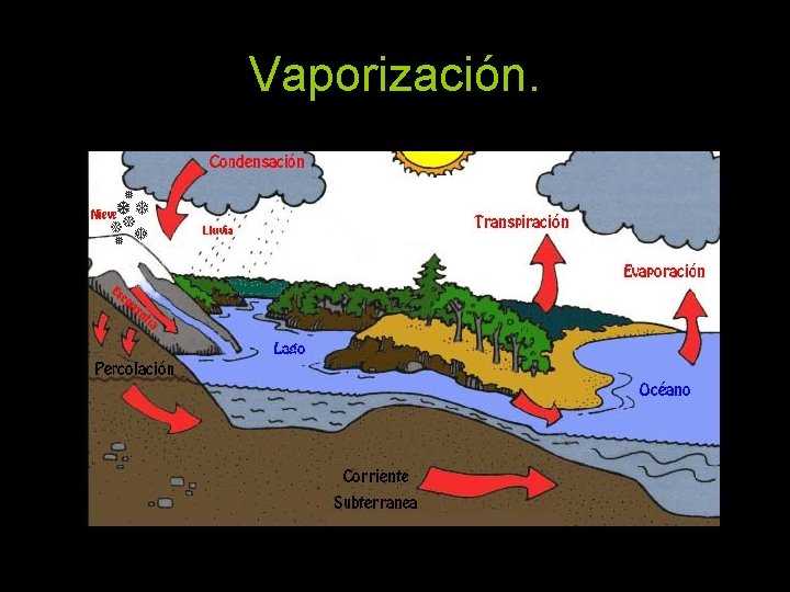 Vaporización. 