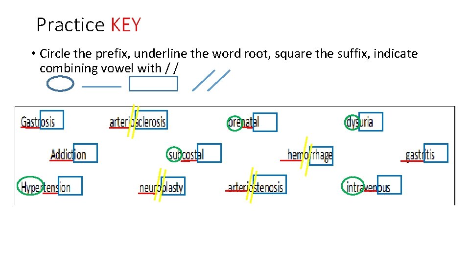 Practice KEY • Circle the prefix, underline the word root, square the suffix, indicate