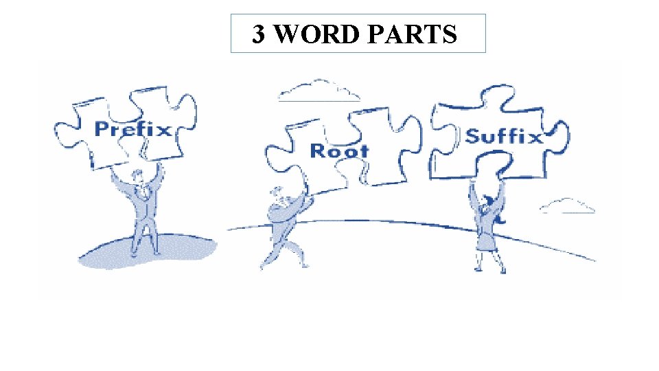 3 WORD PARTS 