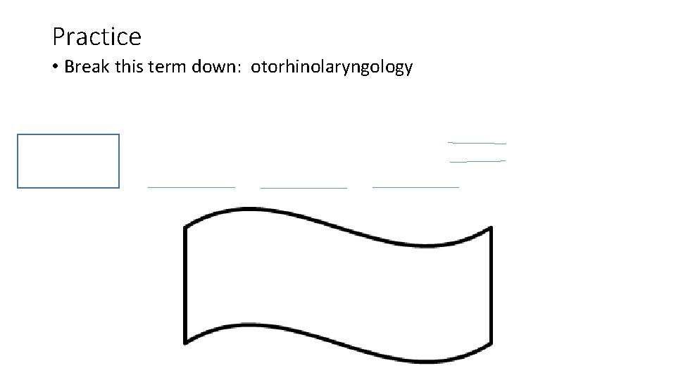 Practice • Break this term down: otorhinolaryngology 