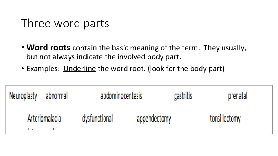 Three word parts • Word roots contain the basic meaning of the term. They