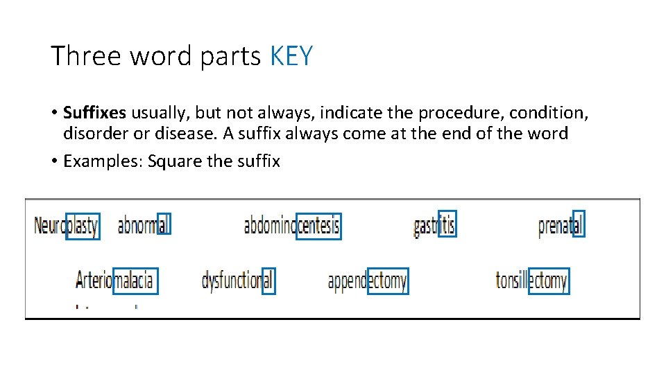 Three word parts KEY • Suffixes usually, but not always, indicate the procedure, condition,