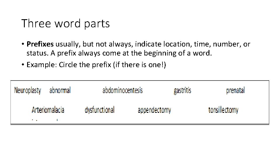 Three word parts • Prefixes usually, but not always, indicate location, time, number, or