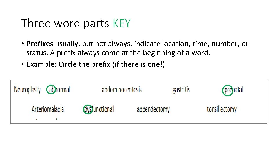 Three word parts KEY • Prefixes usually, but not always, indicate location, time, number,