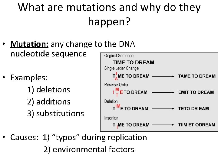 What are mutations and why do they happen? • Mutation: any change to the