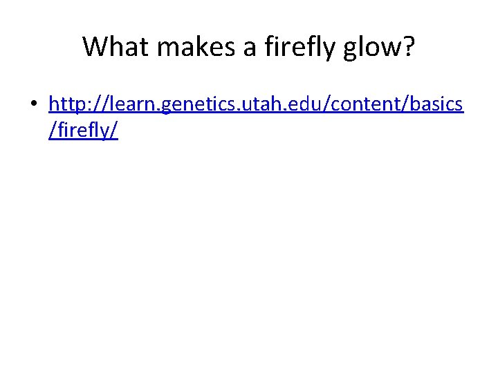 What makes a firefly glow? • http: //learn. genetics. utah. edu/content/basics /firefly/ 
