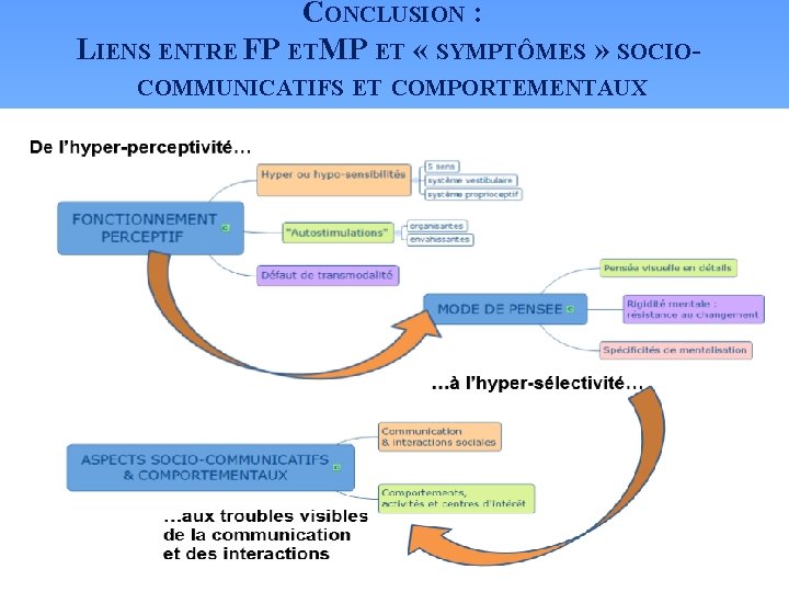 CONCLUSION : LIENS ENTRE FP ET MP ET « SYMPTÔMES » SOCIOCOMMUNICATIFS ET COMPORTEMENTAUX