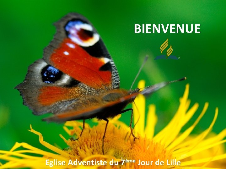 BIENVENUE Eglise Adventiste du 7ème Jour de Lille 
