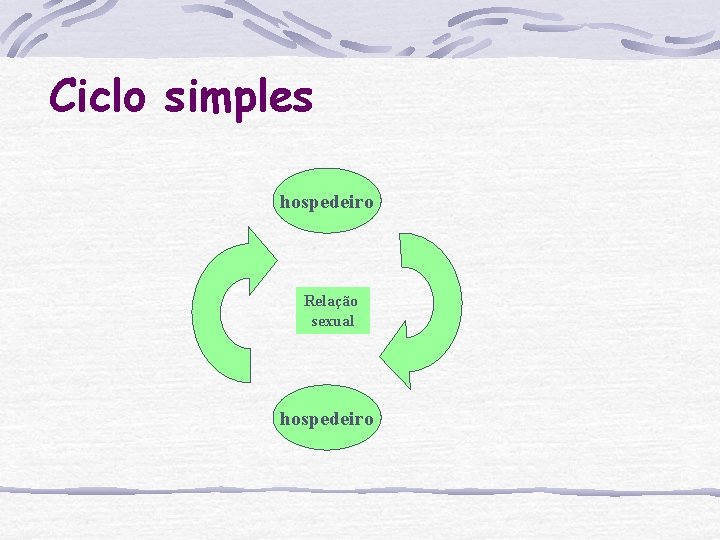 Ciclo simples hospedeiro Relação sexual hospedeiro 