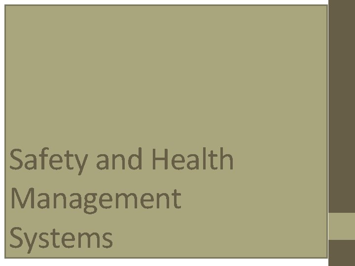 Safety and Health Management Systems 