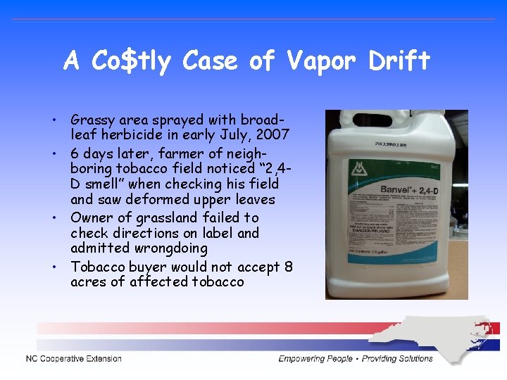 A Co$tly Case of Vapor Drift • Grassy area sprayed with broadleaf herbicide in A Co$tly Case of Vapor Drift • Grassy area sprayed with broadleaf herbicide in