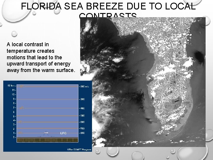 FLORIDA SEA BREEZE DUE TO LOCAL CONTRASTS A local contrast in temperature creates motions FLORIDA SEA BREEZE DUE TO LOCAL CONTRASTS A local contrast in temperature creates motions