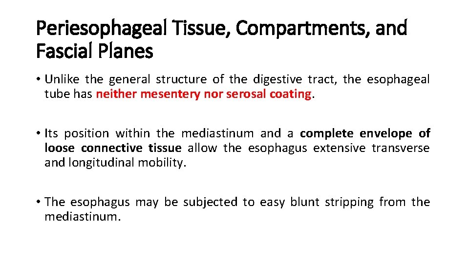 Periesophageal Tissue, Compartments, and Fascial Planes • Unlike the general structure of the digestive