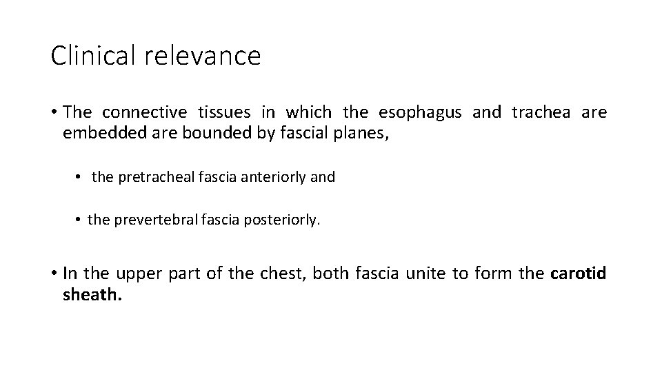 Clinical relevance • The connective tissues in which the esophagus and trachea are embedded