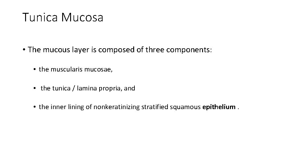 Tunica Mucosa • The mucous layer is composed of three components: • the muscularis