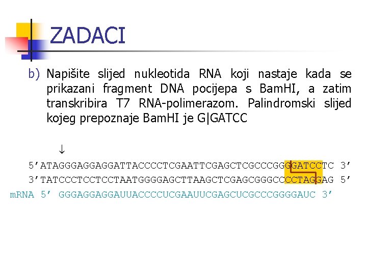 ZADACI b) Napišite slijed nukleotida RNA koji nastaje kada se prikazani fragment DNA pocijepa