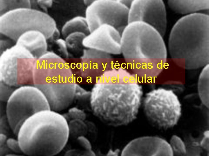 Microscopía y técnicas de estudio a nivel celular Microscopía y técnicas de estudio a nivel celular