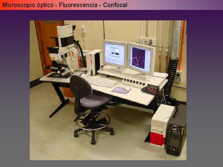 Microscopio óptico - Fluorescencia - Confocal Microscopio óptico - Fluorescencia - Confocal