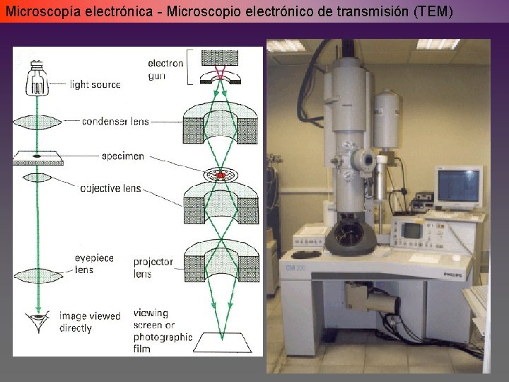 Microscopía electrónica - Microscopio electrónico de transmisión (TEM) Microscopía electrónica - Microscopio electrónico de transmisión (TEM)