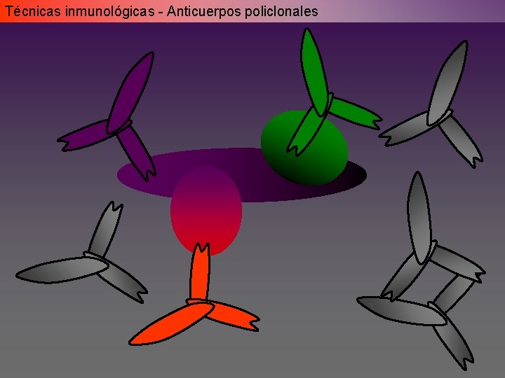 Técnicas inmunológicas - Anticuerpos policlonales Técnicas inmunológicas - Anticuerpos policlonales
