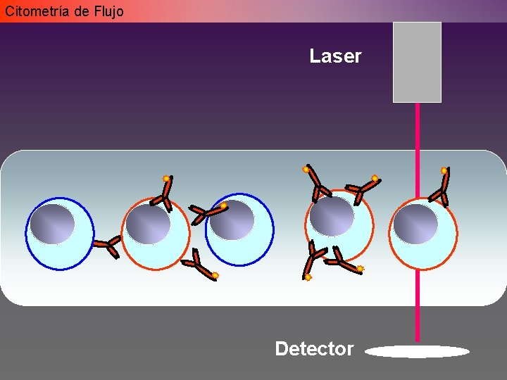Citometría de Flujo Laser Detector Citometría de Flujo Laser Detector
